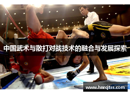 中国武术与散打对战技术的融合与发展探索